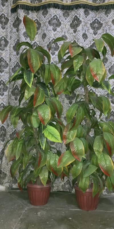 Artificial plants for sale
