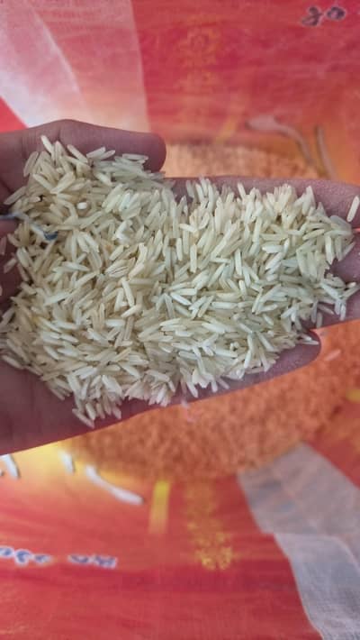 rayan rice store