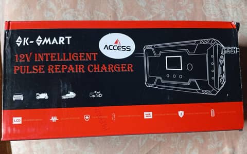 12V Intelligent Pluse Repair Charger,