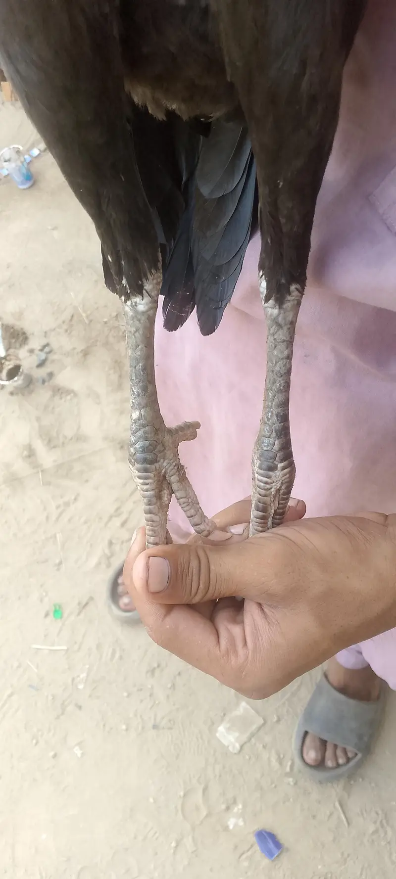 mianwali aur Thai ka cross — photo 7