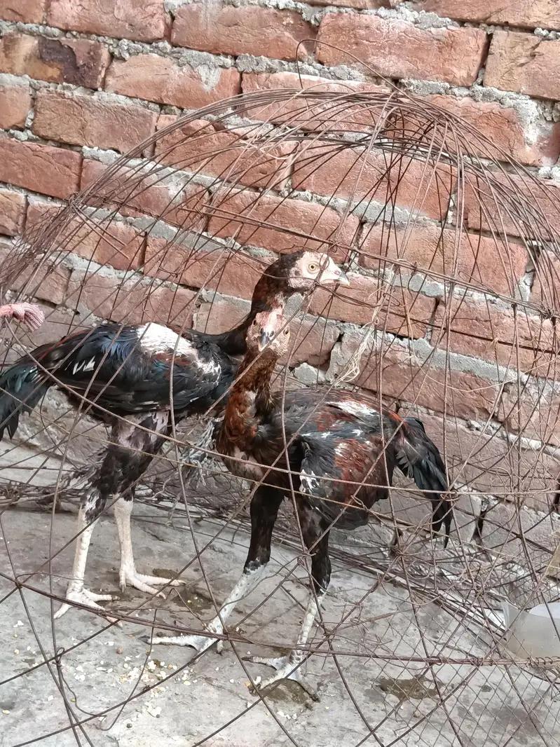 0328140402 — photo 3