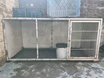 lohay ka cage