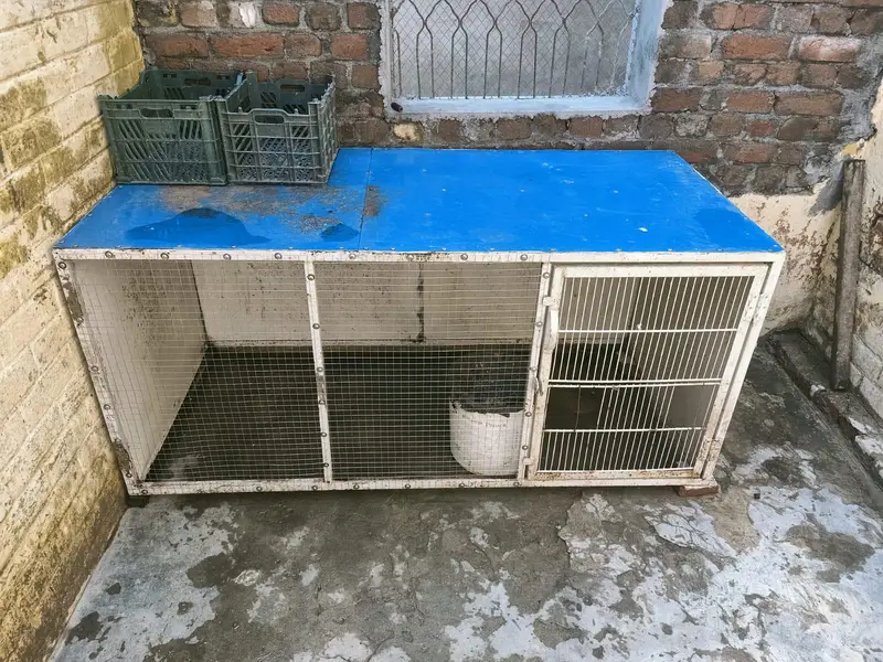lohay ka cage — photo 2