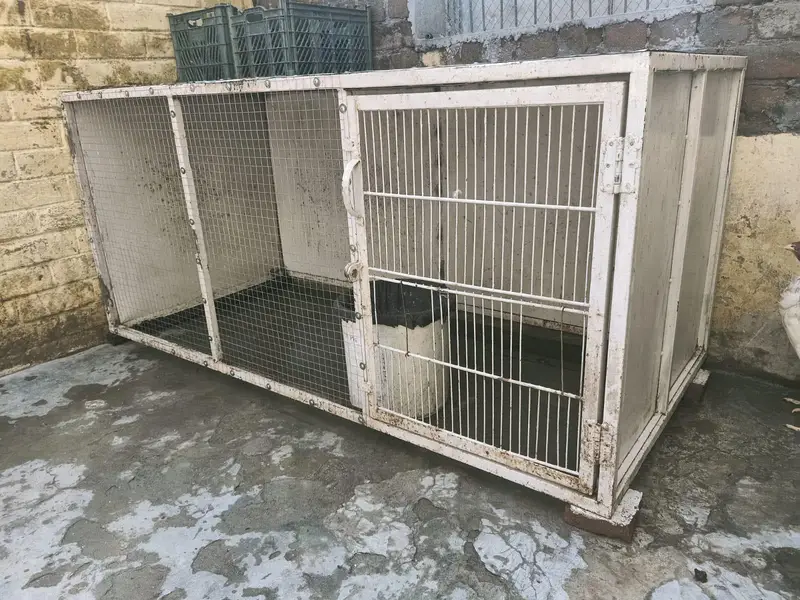 lohay ka cage — photo 3