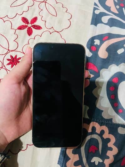 Apple iPhone 13 Pro