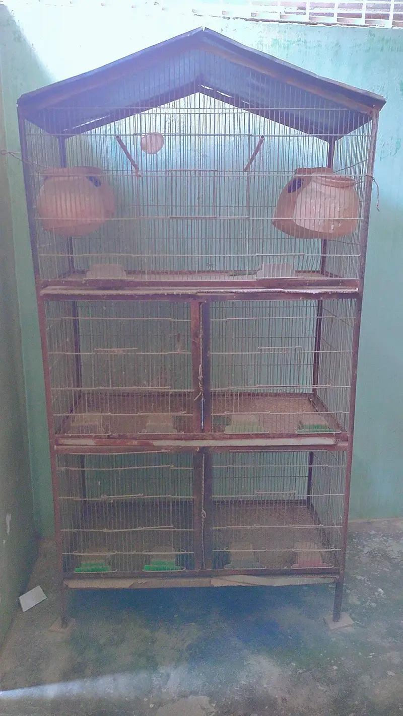  5-Portion + 7-Portion Bird Cages Available for Sale  — photo 2