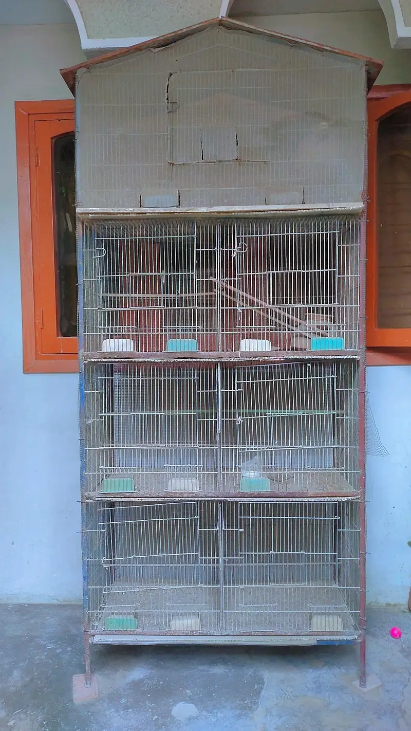  5-Portion + 7-Portion Bird Cages Available for Sale  — photo 3