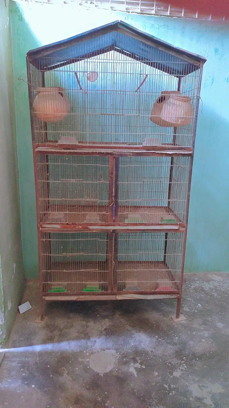  5-Portion + 7-Portion Bird Cages Available for Sale  — photo 4