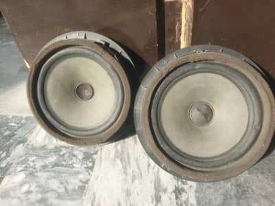 suzuki oem speakers