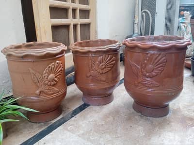 All 27 pots at discounted price for urgent sale at pwd Islamabad