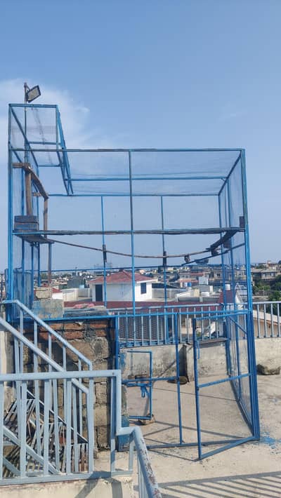 kabootar pinjra for urgent sale