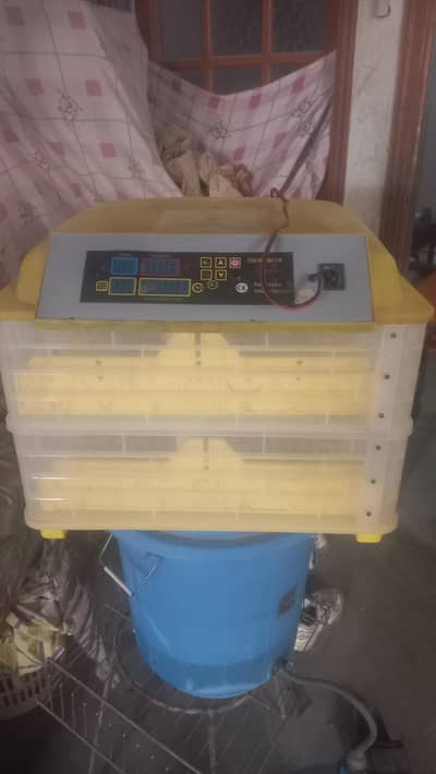 Automatic 120 Eggs Incubator for Sale - AC/DC Dual Power Option