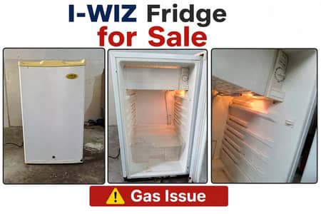 Mini Fridge I-WIZ