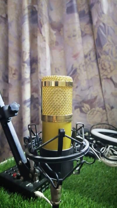 BM 900 condenser mic