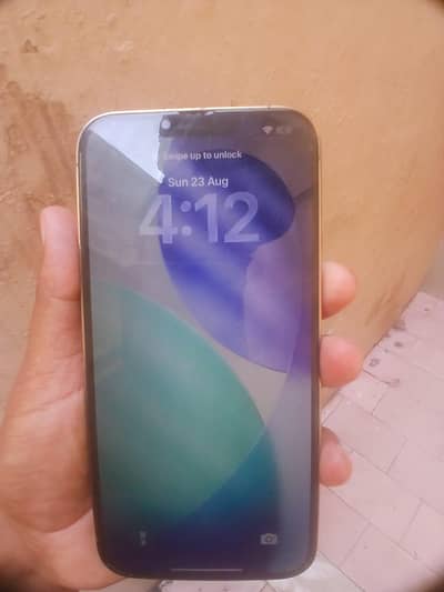Apple iPhone 13 Pro Max