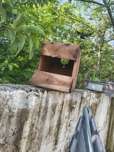 tali ka box ha love birds ka liya ha achi halt ma ha