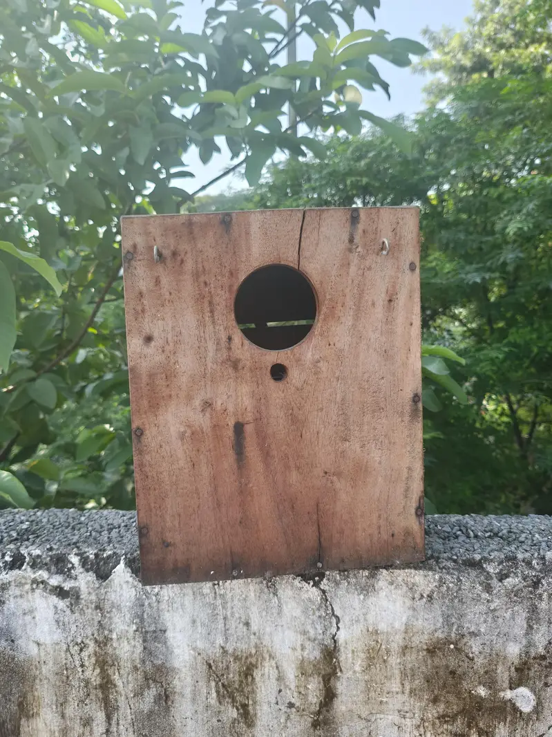 tali ka box ha love birds ka liya ha achi halt ma ha — photo 4