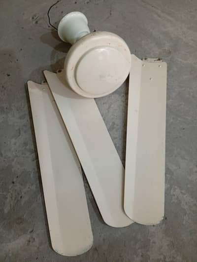 pak fan sale
