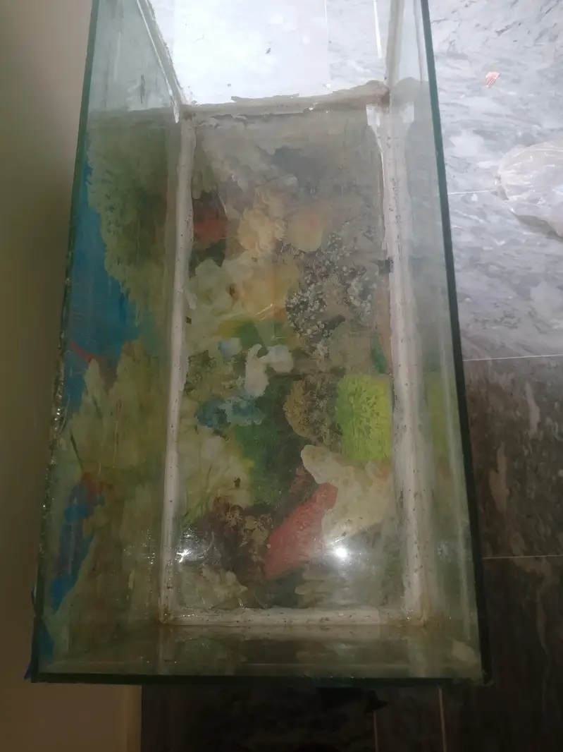 aquarium fish tank — photo 2