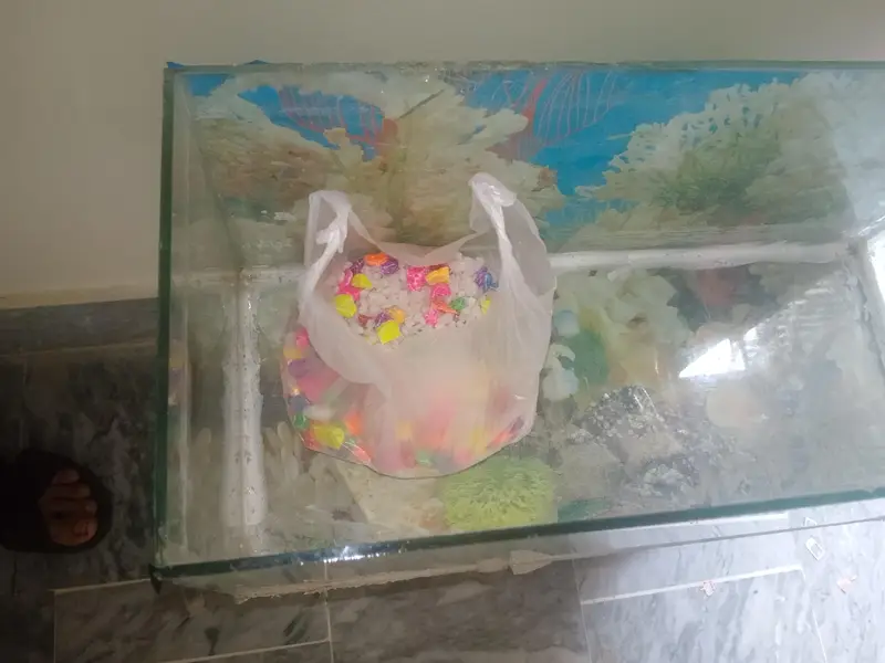 aquarium fish tank — photo 3