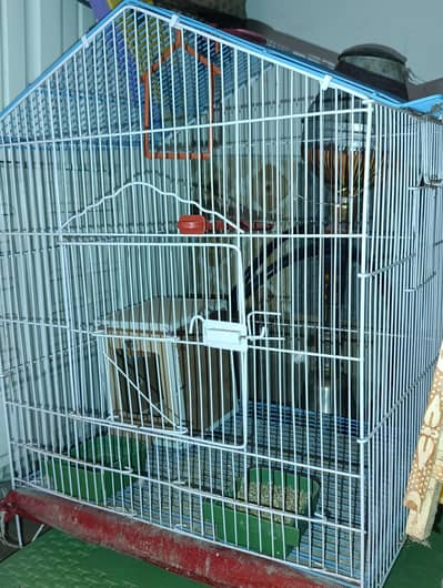 large size cage for parrots breeding and carrying
