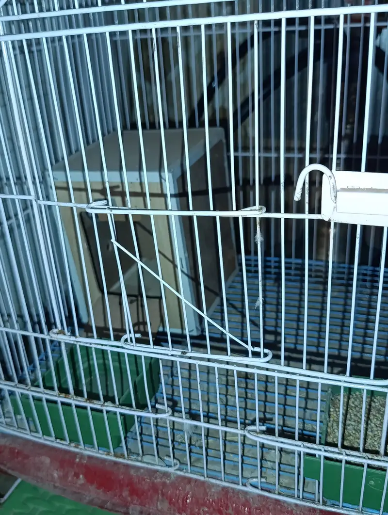 large size cage for parrots breeding and carrying — photo 2
