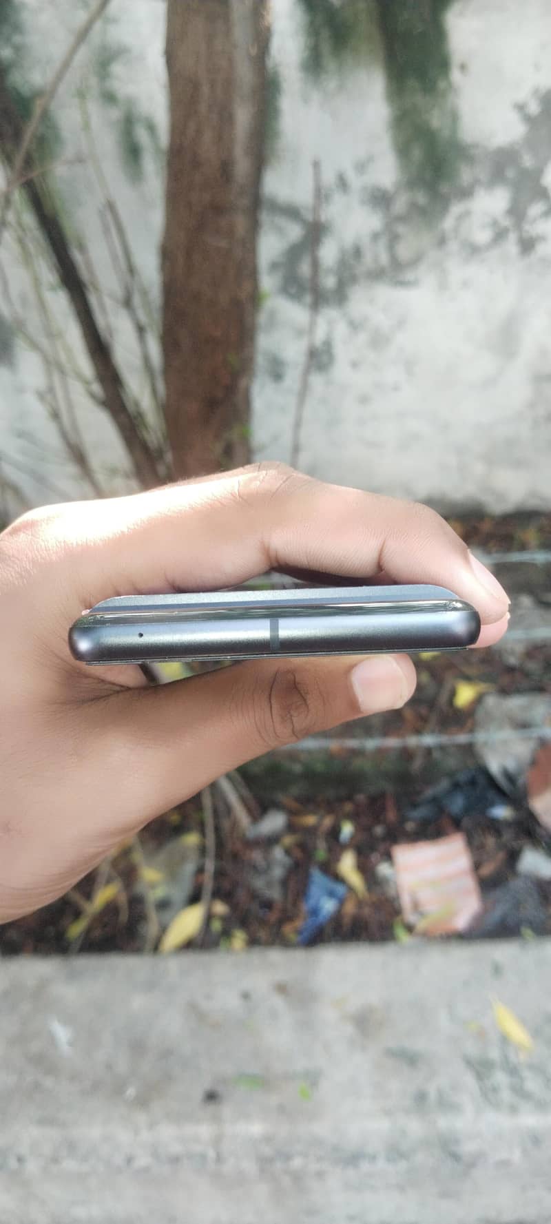 Google Other Model 4