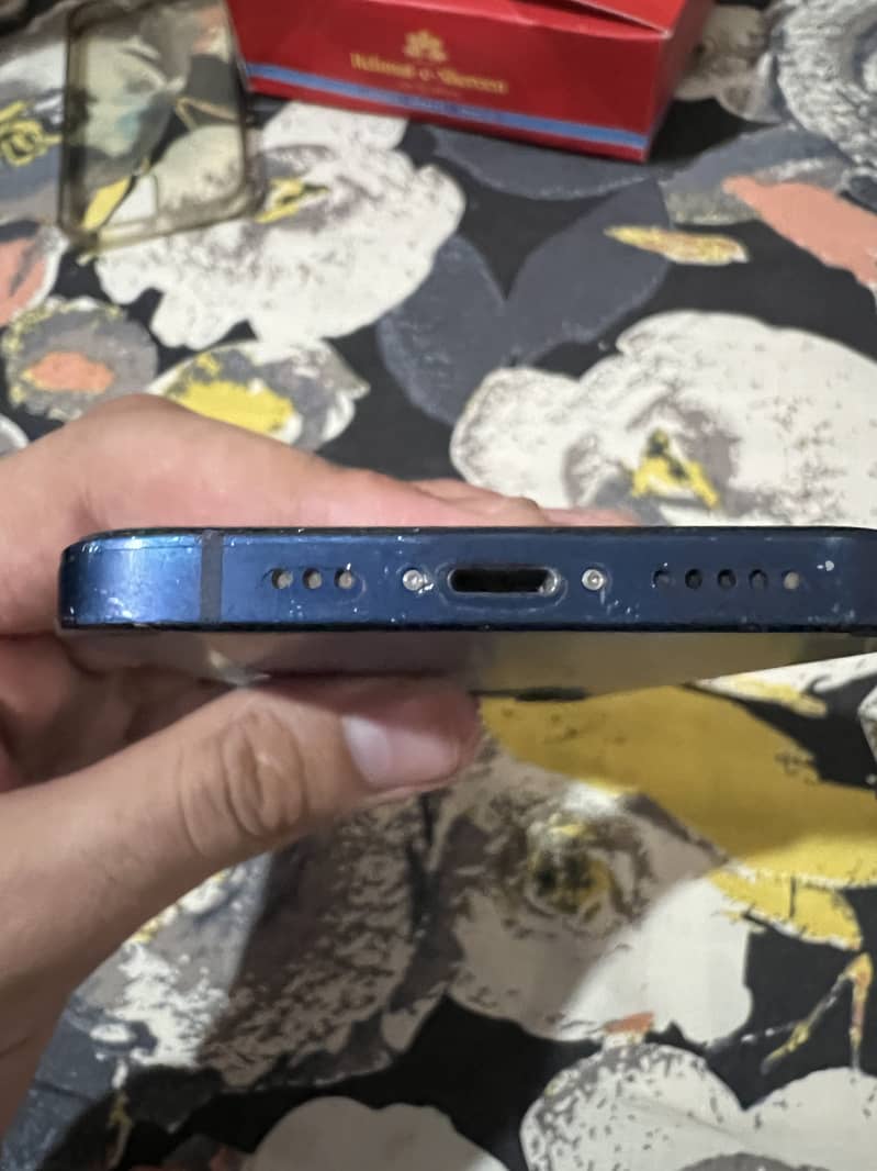 Apple iPhone 12 1
