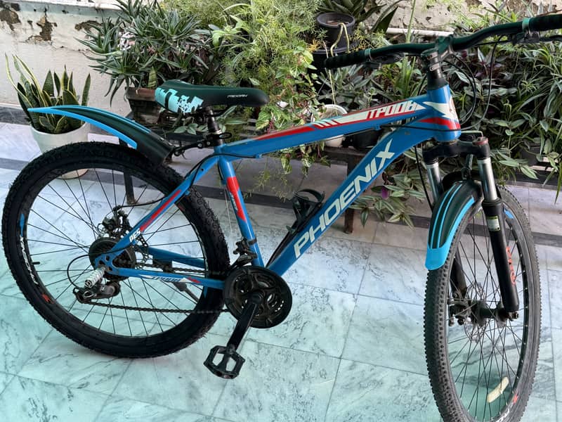 PHOENIX cycle (gear) 0