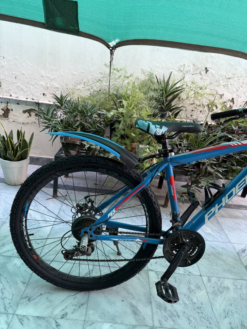 PHOENIX cycle (gear) 1