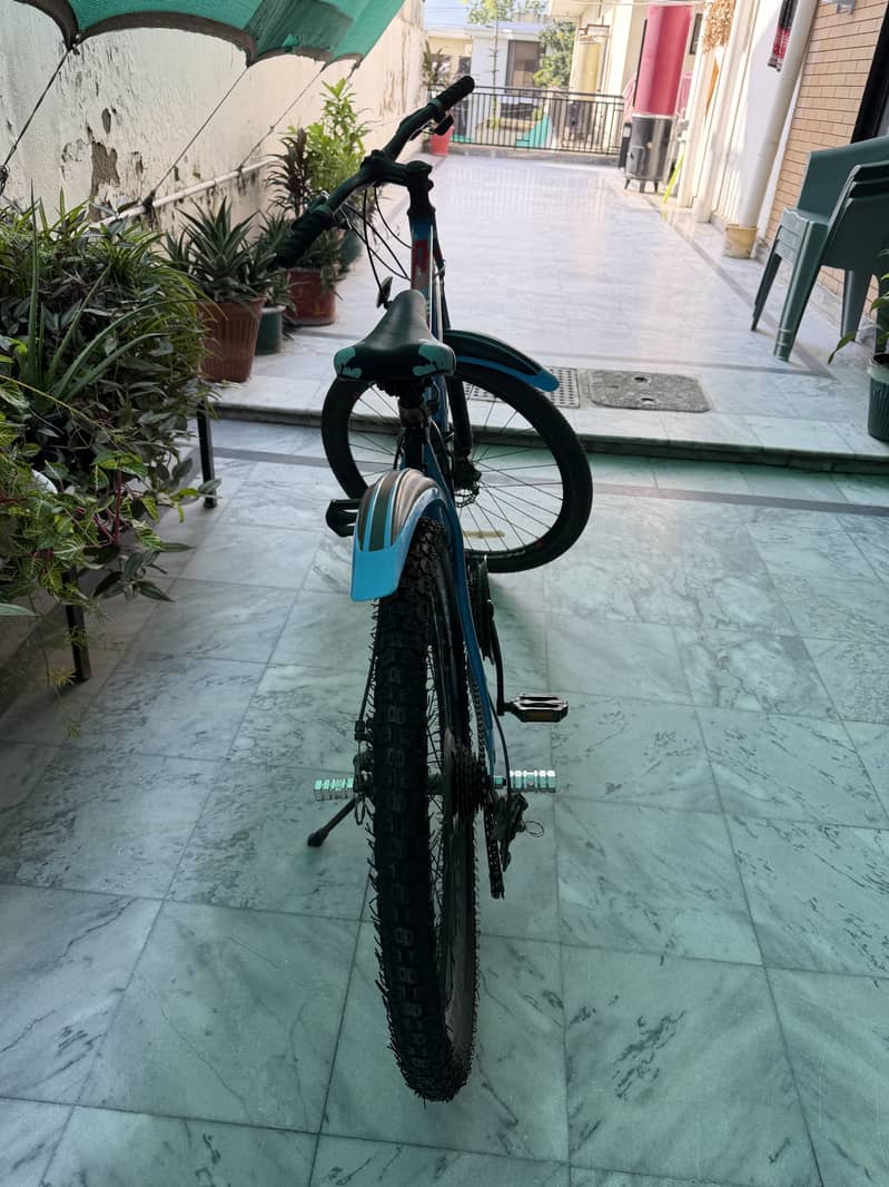 PHOENIX cycle (gear) 3