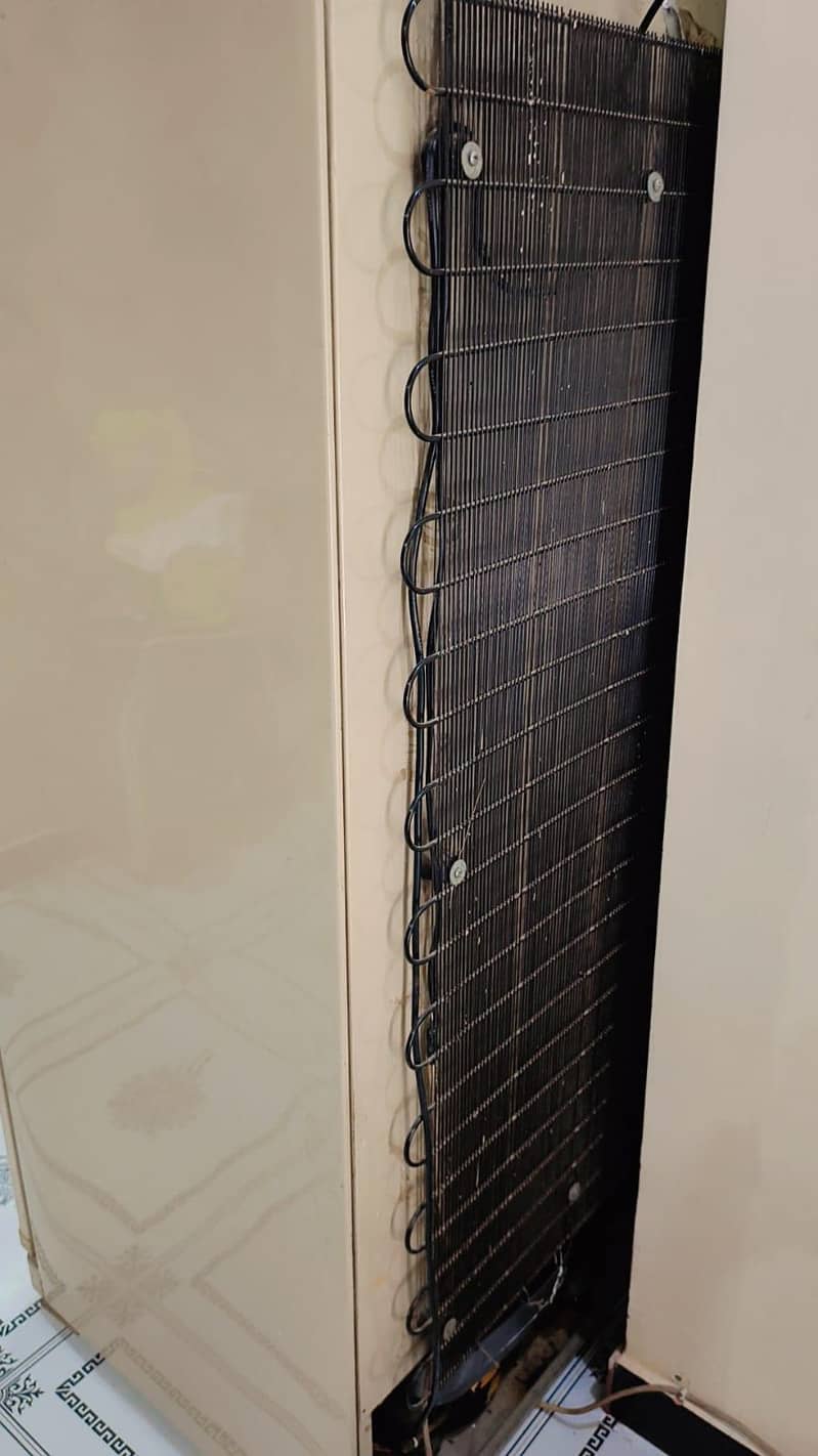 large size fridge 1