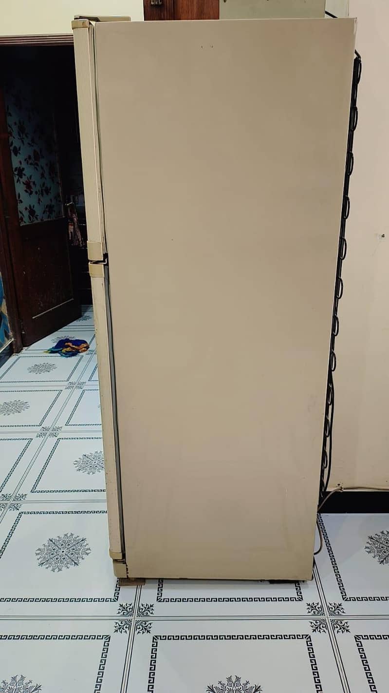 large size fridge 6