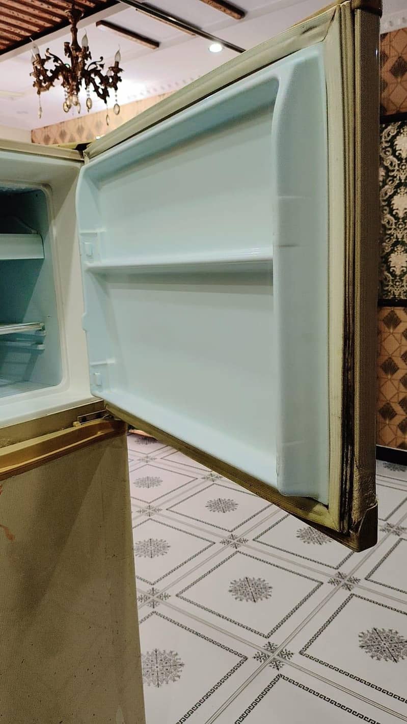 large size fridge 7