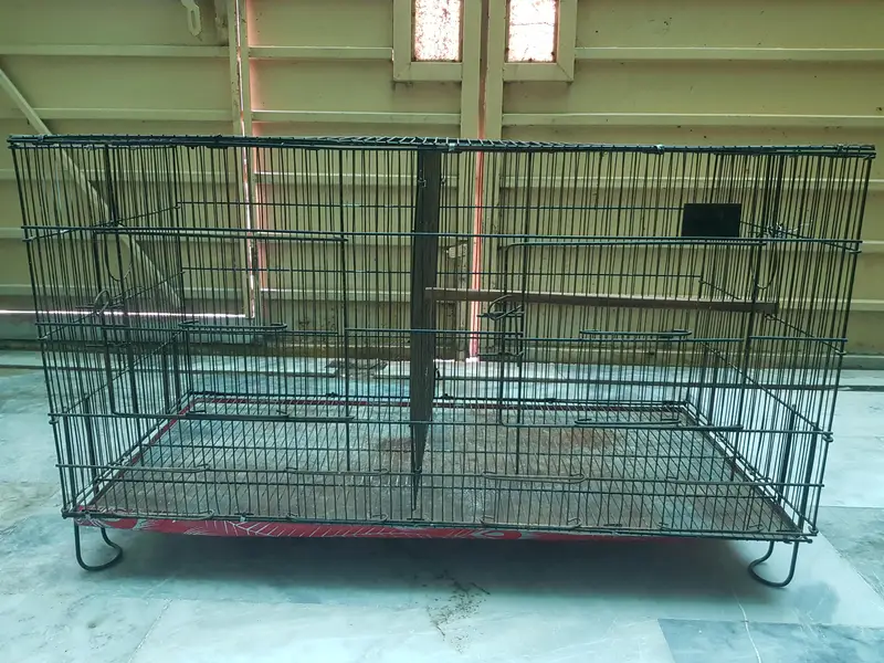 Large Bird Cage for Sale | 3×1.5×1.5 Feet | Spacious Cage — photo 2