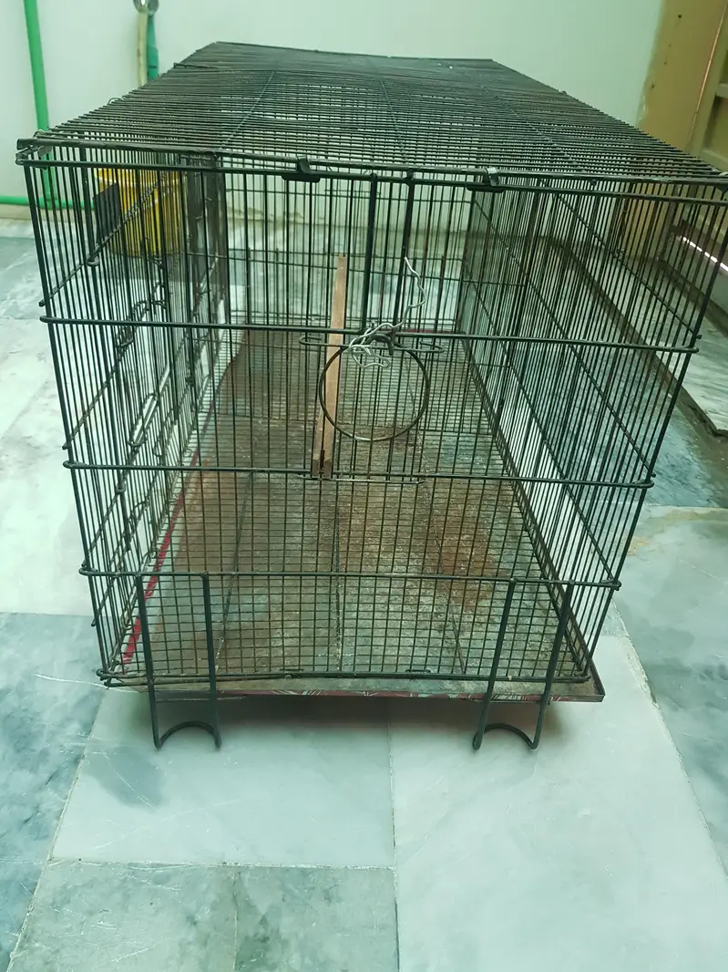 Large Bird Cage for Sale | 3×1.5×1.5 Feet | Spacious Cage — photo 3