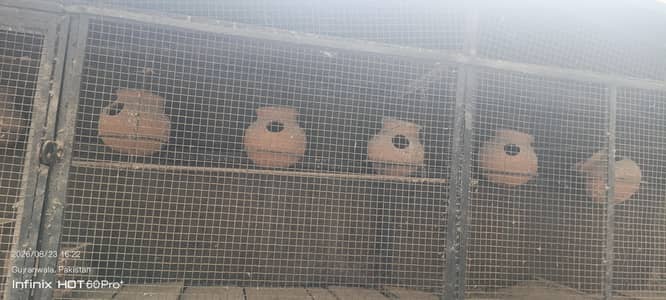 Cage for Sale