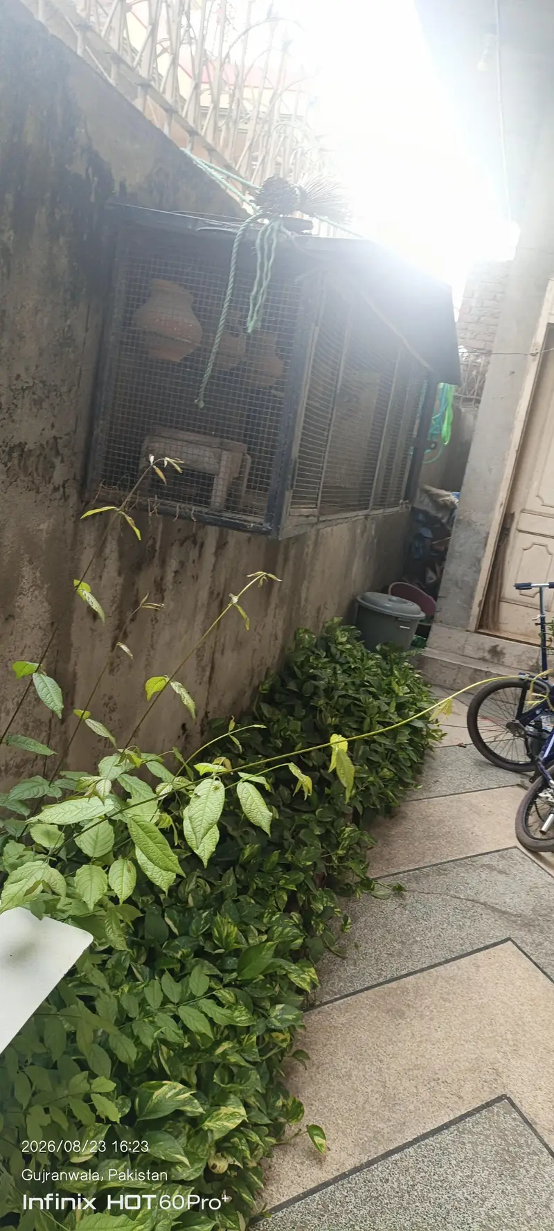 Cage for Sale — photo 2