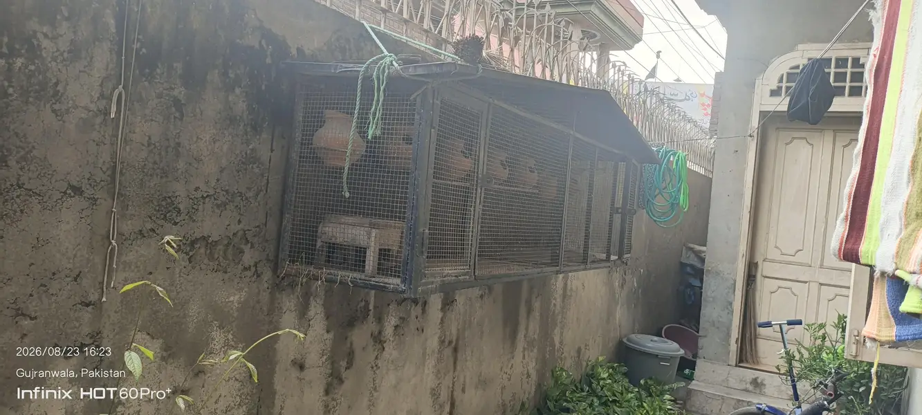 Cage for Sale — photo 3