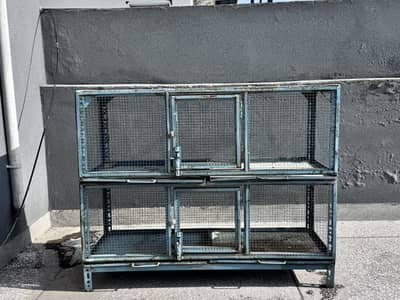 Birds cage