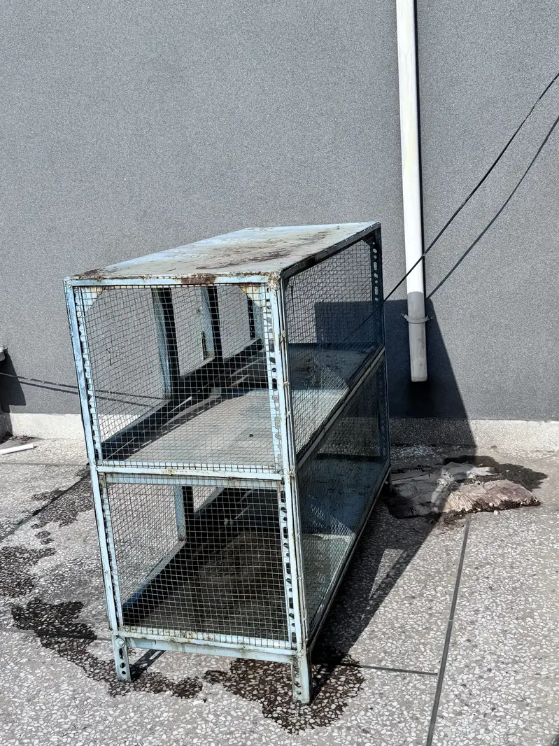 Birds cage — photo 2