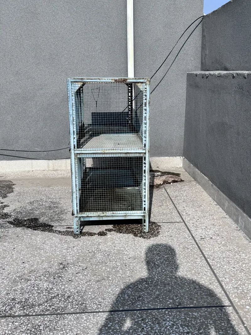 Birds cage — photo 3