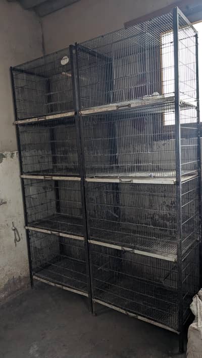 Pinjray for sale