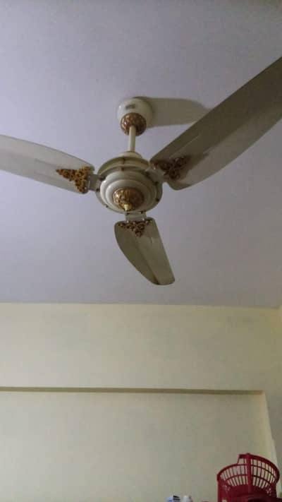 fan GFC