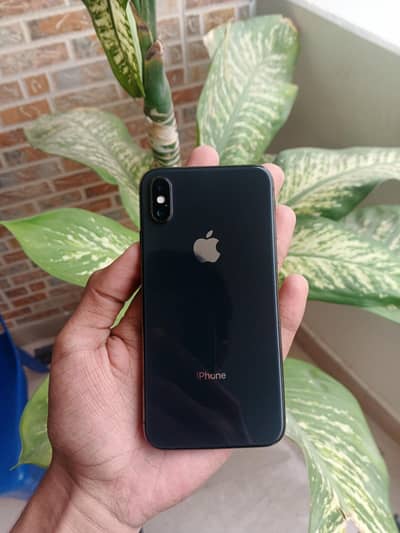 Apple iPhone X