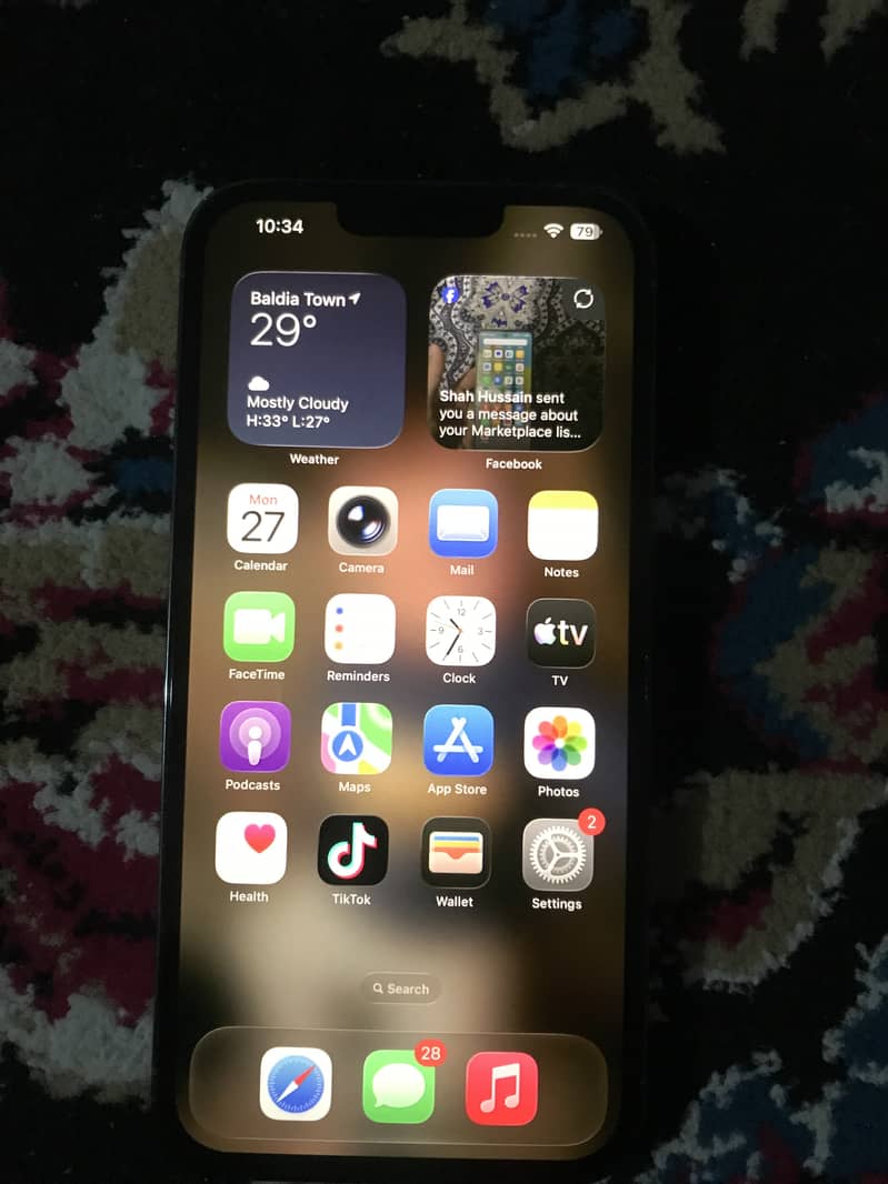 Iphone 13 pro max 1