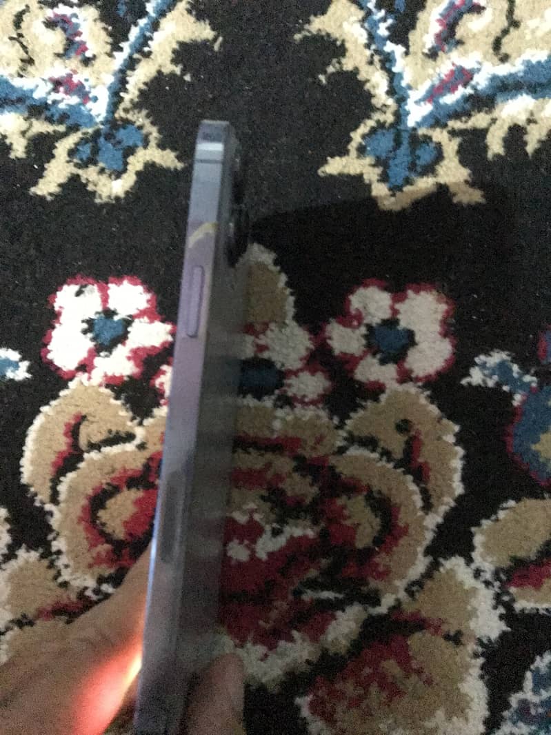 Iphone 13 pro max 3