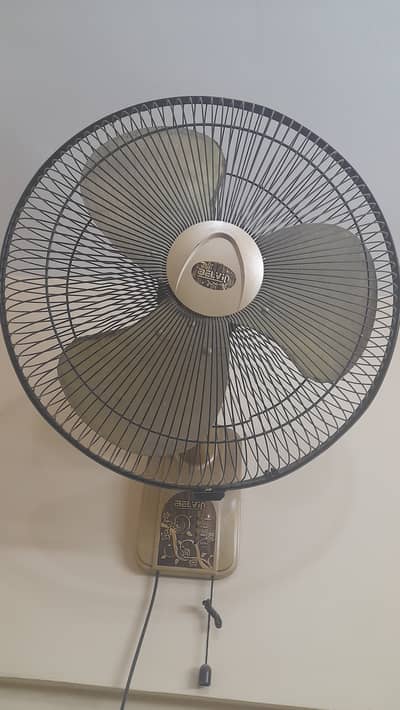 Belven Hanging Fan