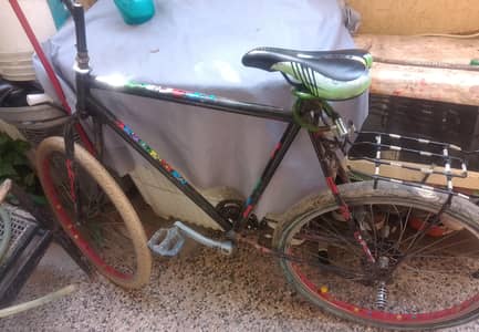 phonix cycle