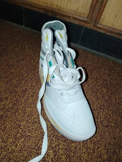 brand new shoes 9 number